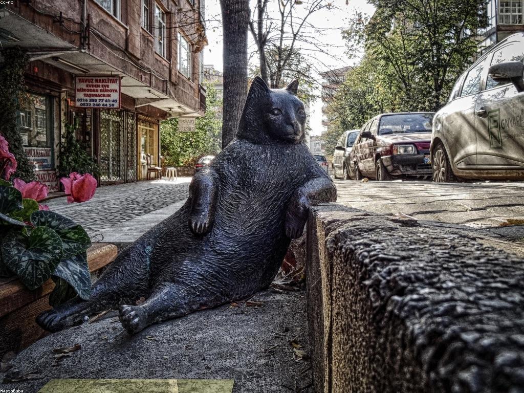 សមត្ថភាពនិងឱកាសក្នុងការអភិវឌ្ឍសមត្ថភាពបុគ្គល